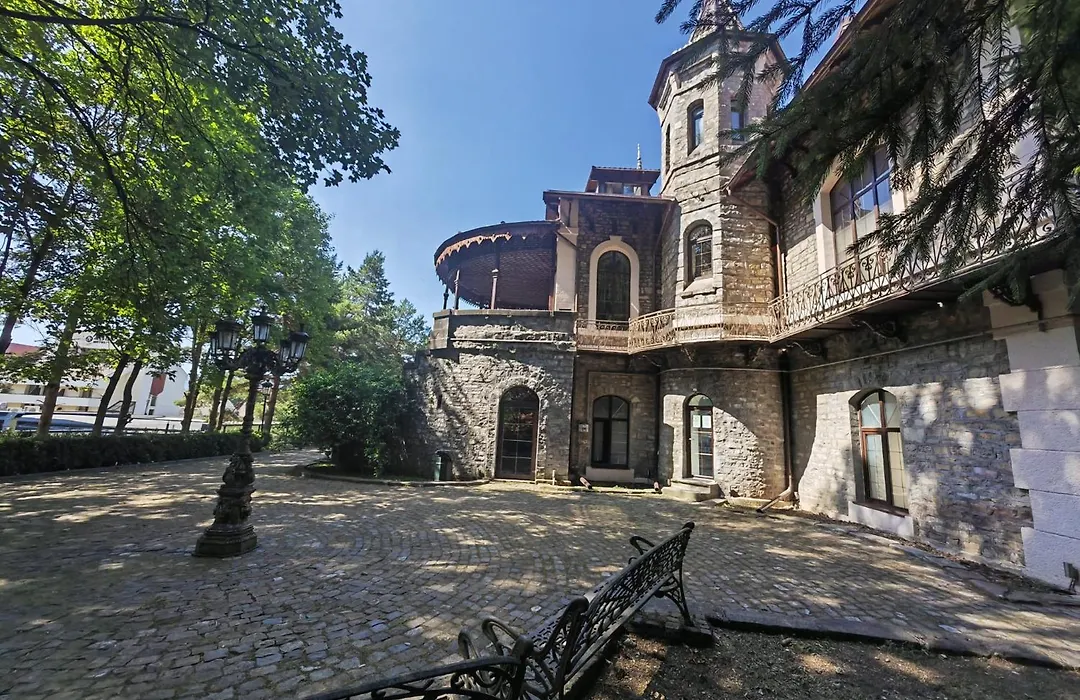 Castelul Stirbey-1